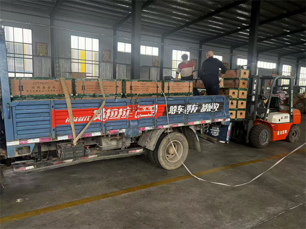  Gasoline internal combustion rock drill is sent to Russia